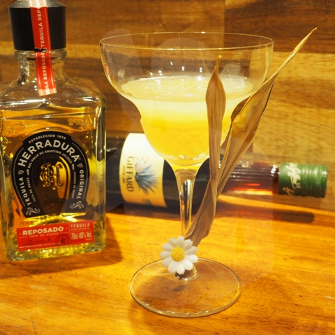 SPCKE - Margarita